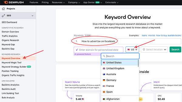 Search Google USA with Semrush Keyword Overview